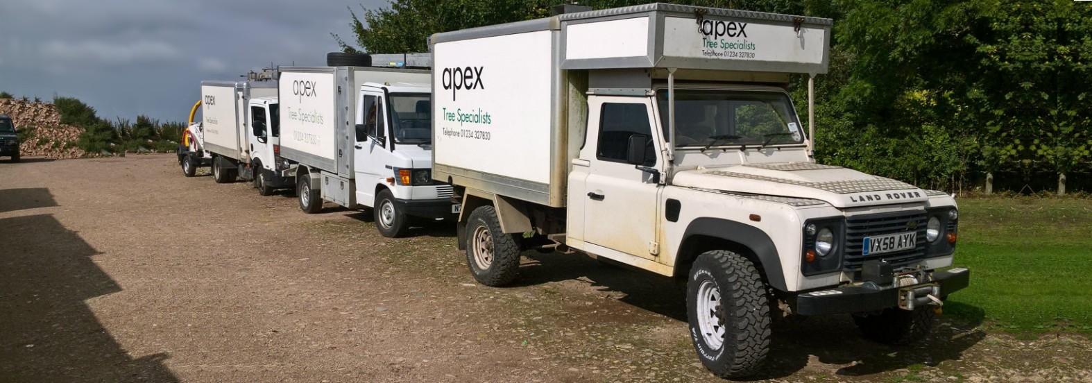 Apex Tree Specialists-t2 Apex Tree Specialists-t2